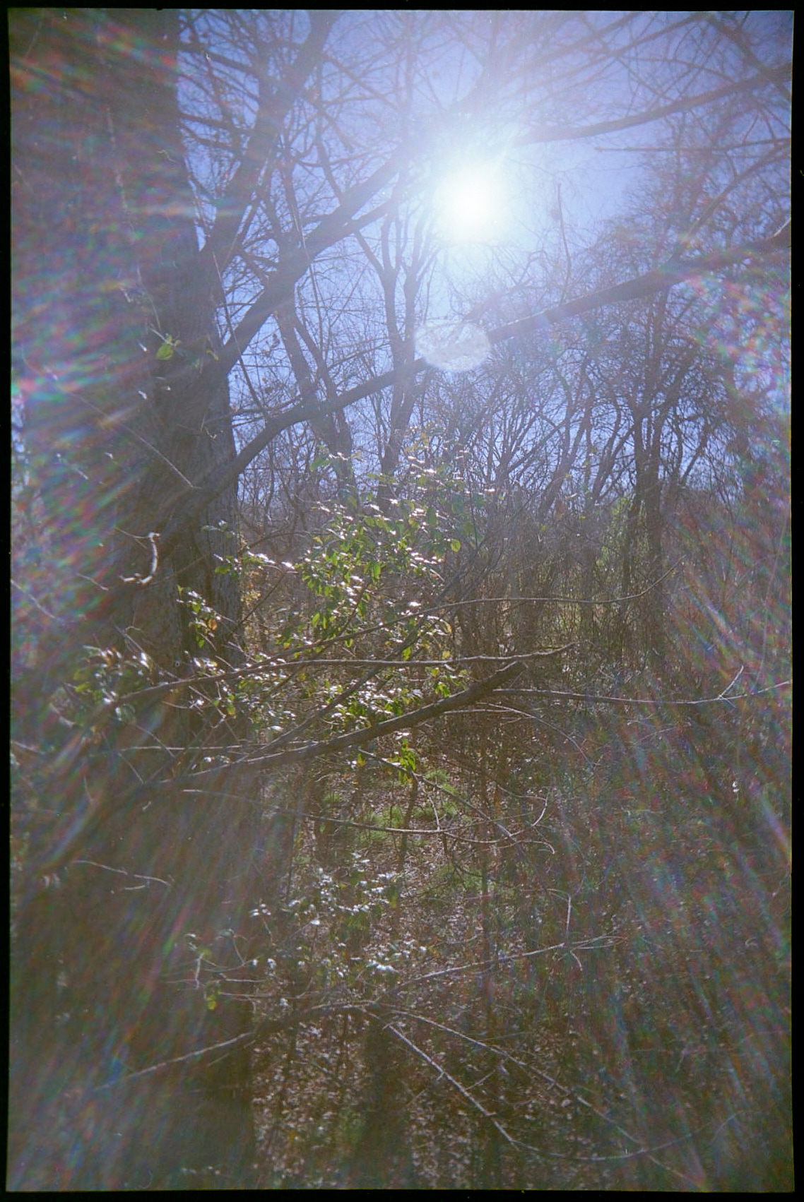 20220216-072914-VUWS-vs-RUWS-internal-mask©JamesECockoft-2292