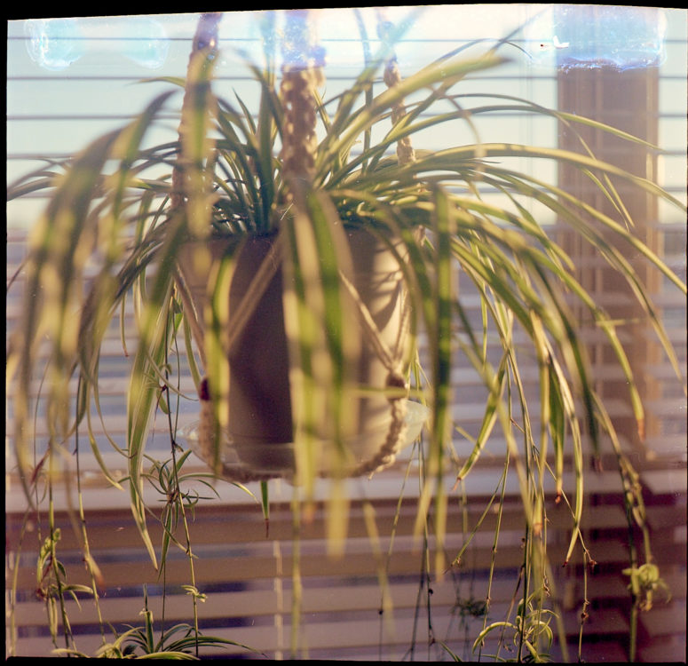 20220117-163331-Smena-125-in-120-test©JamesECockoft-1613