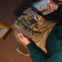 Stephen Leslie - 'Mostly False Reports'