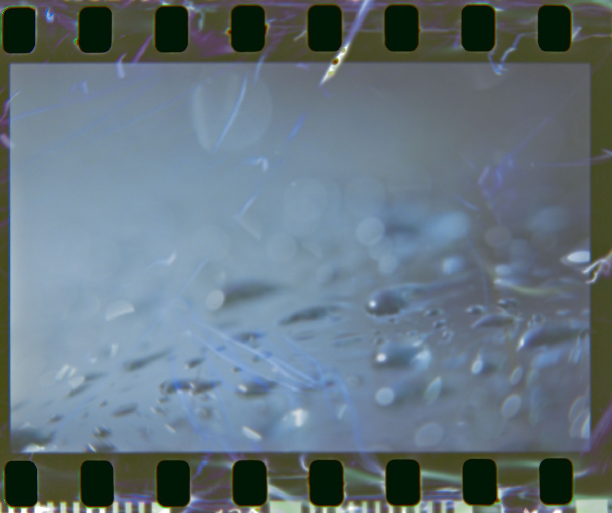 70 210 as slide duplicator 2 ©JamesECockroft 20150427