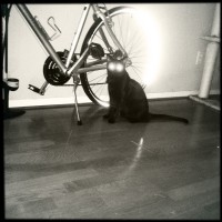 BlackKeys Test2 13 20120516©2012 JamesECockroft 2012 05 16 at 16 13 17