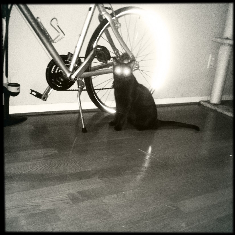 BlackKeys Test2 13 20120516©2012 JamesECockroft 2012 05 16 at 16 13 17