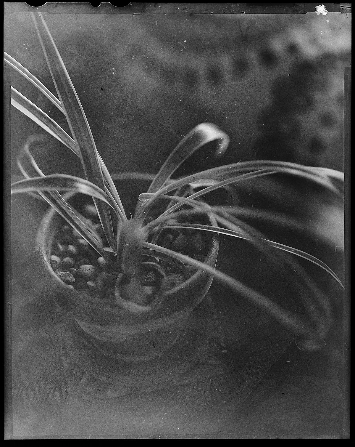 Capture One Pro 8 edit