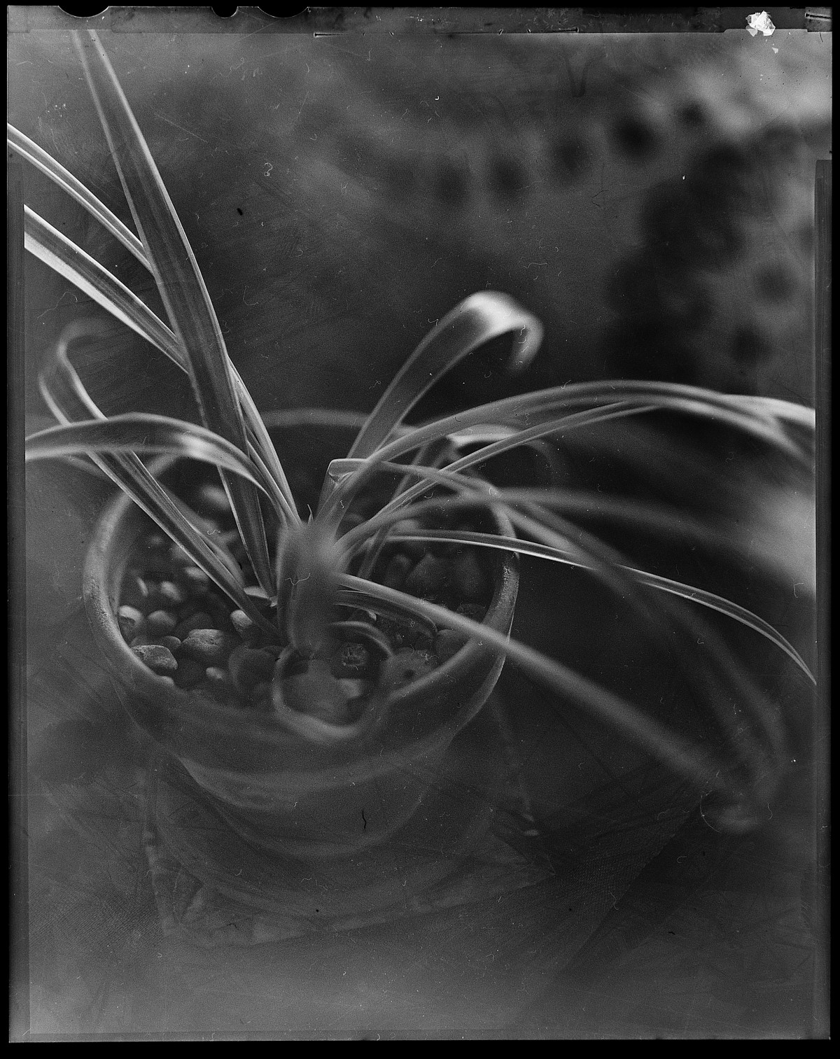 Capture One Pro 9 edit