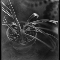 Capture One Pro 9 edit