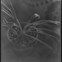 Capture One Pro engine comparison Capture One Pro 8 ©2015JamesECockroft