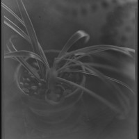 Capture One Pro engine comparison Capture One Pro 9 ©2015JamesECockroft