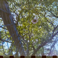 Costa Rica 118©JamesECockroft 20150228