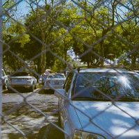 Costa Rica 119©JamesECockroft 20150228