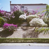 Costa Rica 121©JamesECockroft 20150228