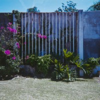 Costa Rica 130©JamesECockroft 20150228