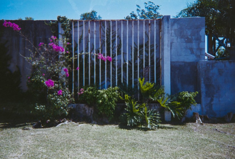 Costa Rica 130©JamesECockroft 20150228