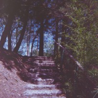 Costa Rica 131©JamesECockroft 20150228