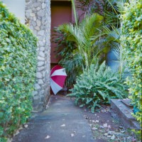 Costa Rica 134©JamesECockroft 20150228