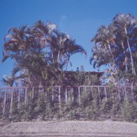 Costa Rica 139©JamesECockroft 20150228