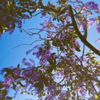 Costa Rica 141©JamesECockroft 20150228