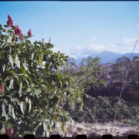 Costa Rica 145©JamesECockroft 20150228