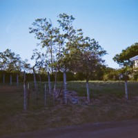 Costa Rica 148©JamesECockroft 20150228