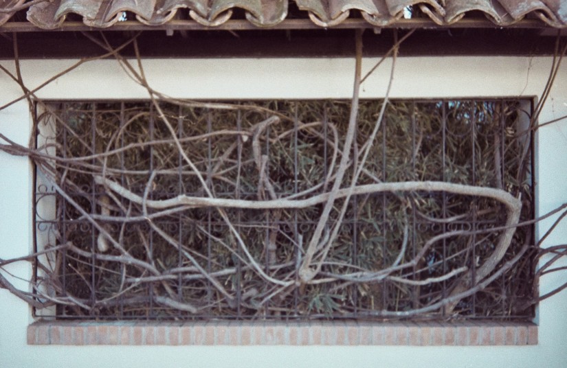 Costa Rica 2 ©JamesECockroft 2015030103