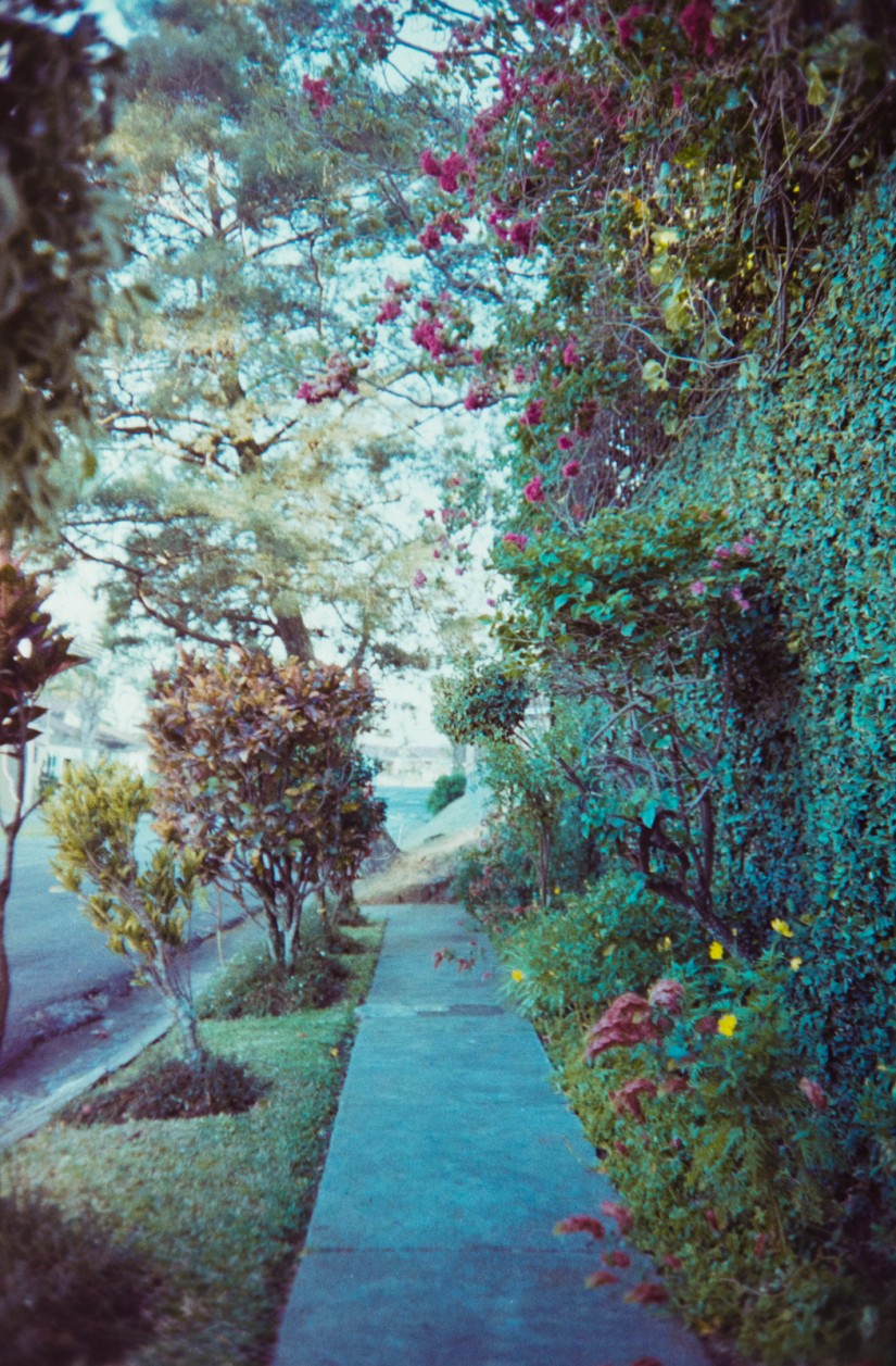 A postcard from Costa Rica©JamesECockroft_2015030107