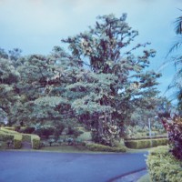 Costa Rica 3 ©JamesECockroft 2015030148