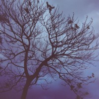 Costa Rica 3 ©JamesECockroft 2015030149