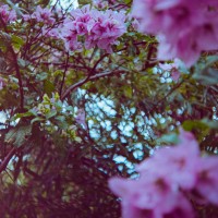 Costa Rica 3 ©JamesECockroft 2015030151