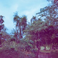 Costa Rica 3 ©JamesECockroft 2015030154