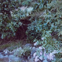 Costa Rica 3 ©JamesECockroft 2015030155