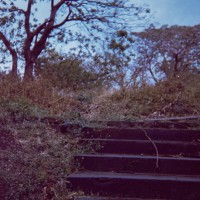 Costa Rica 3 ©JamesECockroft 2015030160