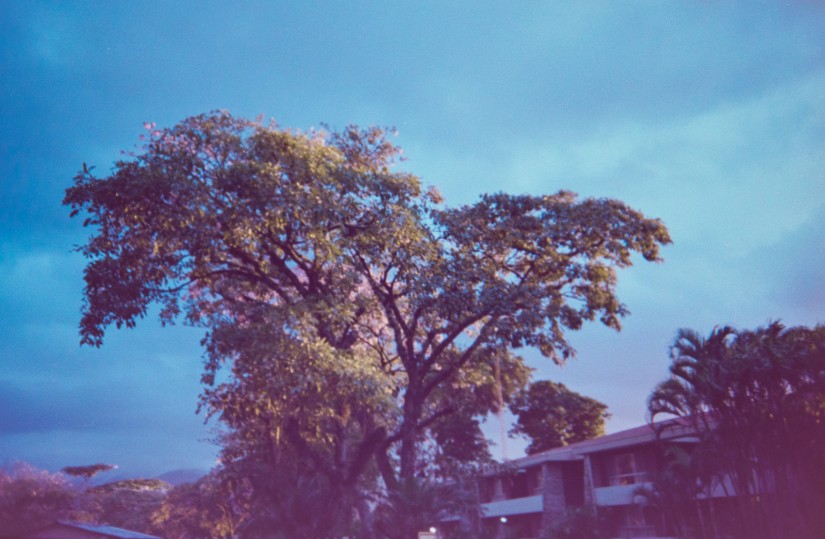 Costa Rica 3 ©JamesECockroft 2015030168