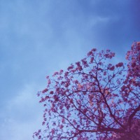 Costa Rica 3 ©JamesECockroft 2015030169