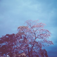 Costa Rica 3 ©JamesECockroft 2015030170