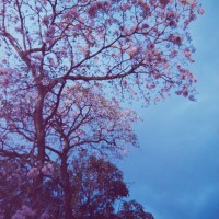 Costa Rica 3 ©JamesECockroft 2015030179