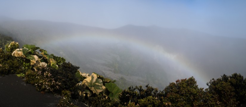 Costa Rica Trip 2015 D700030©JamesECockroft 20150221 Edit