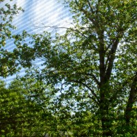 DSC00194 2006 04 23 at 15 57 24