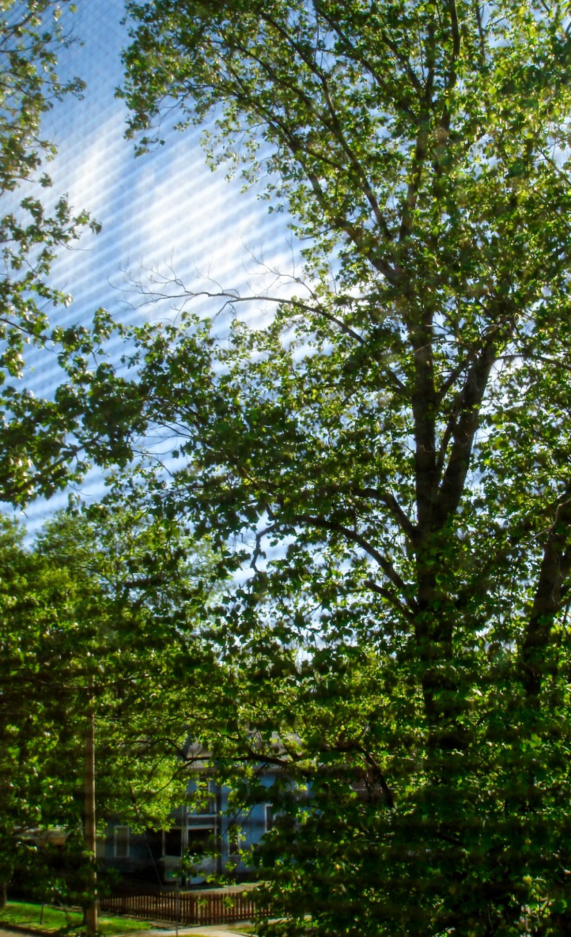 out the window, Springfield IL