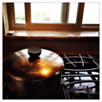 DSPO test8©JamesECockroft 20150421