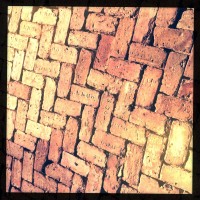 IMG 4724 2012 01 12 at 15 35 25