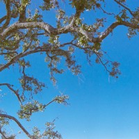 Kerrville Roll123©JamesECockroft 20141228