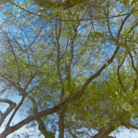 Kerrville Roll128©JamesECockroft 20141228