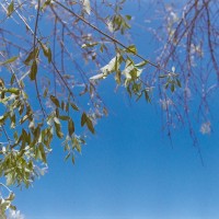 Kerrville Roll129©JamesECockroft 20141228