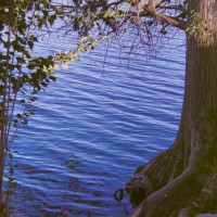 Kerrville Roll235©JamesECockroft 20141228