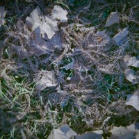 Kerrville Roll246©JamesECockroft 20141228