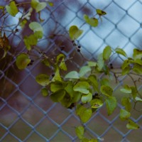 Kerrville after11©JamesECockroft 201501181