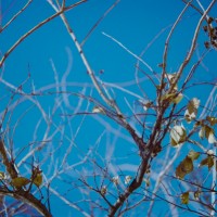 Kerrville after16©JamesECockroft 20150118