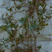 Kerrville after5©JamesECockroft 20150118