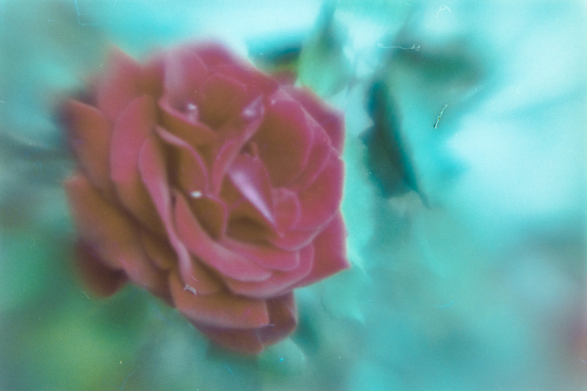 Lens Tests 5 ©JamesECockroft 20150426 2