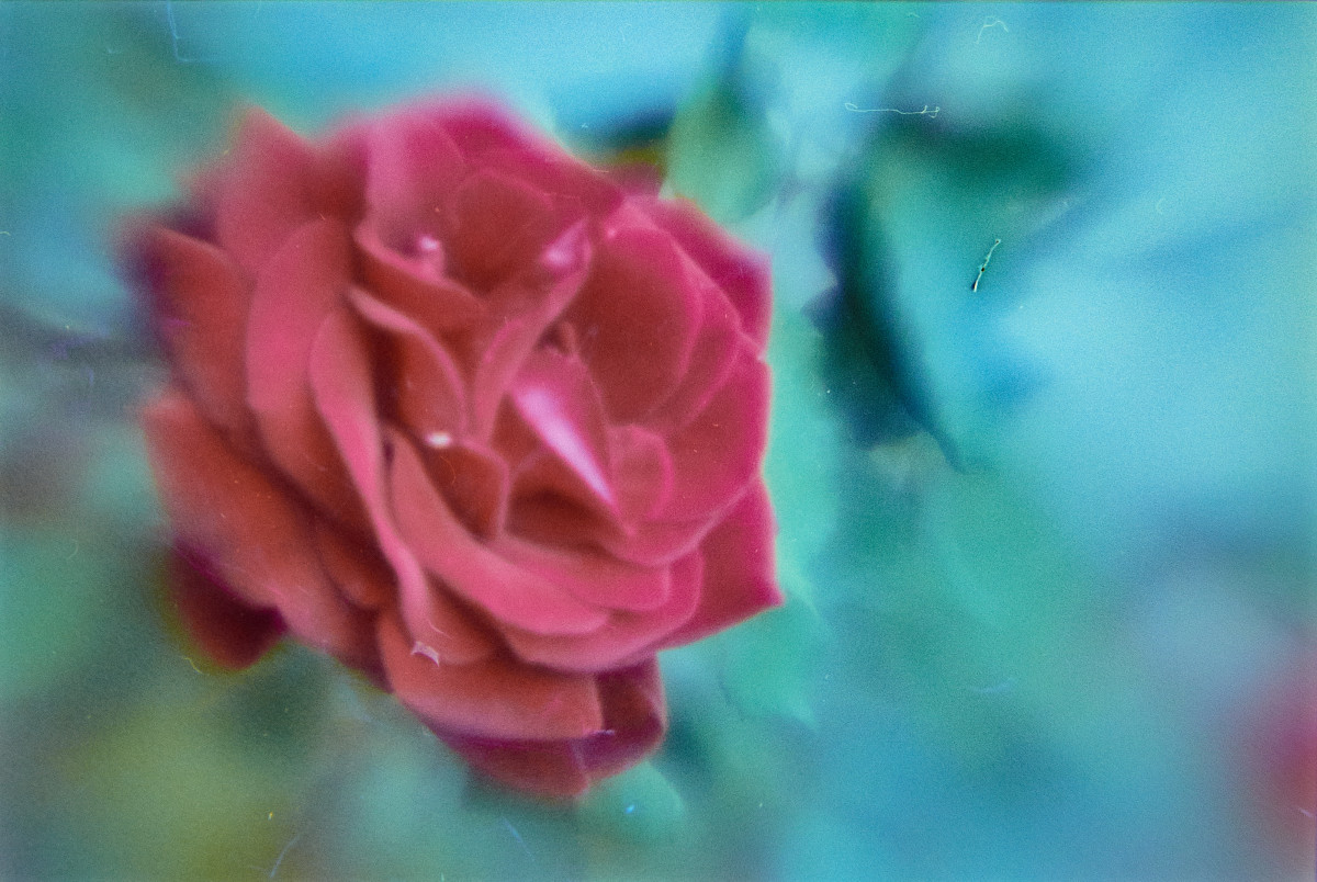 Lens Tests 5 ©JamesECockroft 20150426 Capture One1