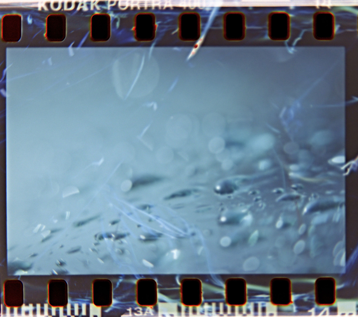 Lens Tests16©JamesECockroft 20150426 Affinity1